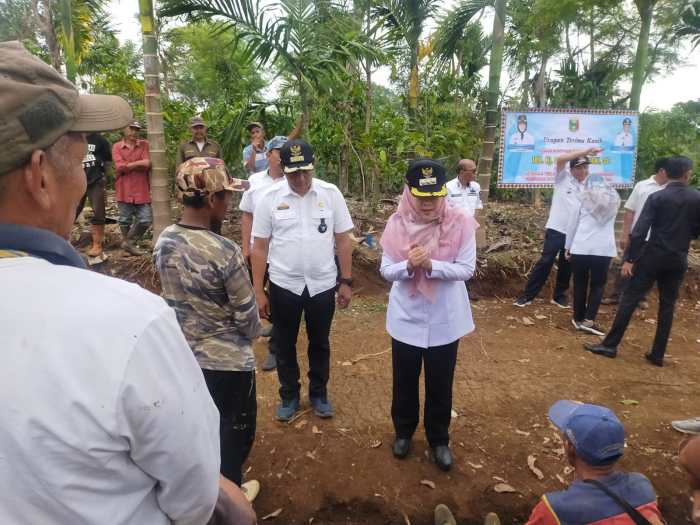 Budidaya ayam di Pulau Panggung, Tanggamus