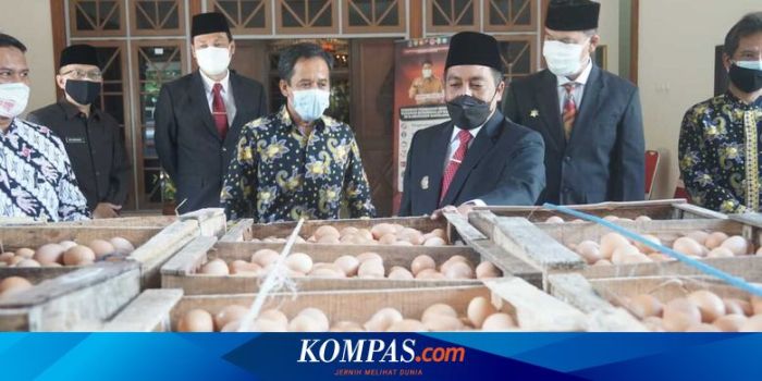 Peternak di Magelang Sumbang 1,05 Ton Telur untuk Nakes