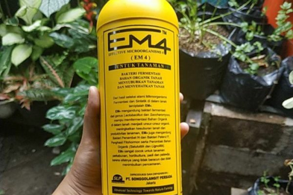 Em4 peternakan ayam di Sasak Ranah Pesisir, Kabupaten Pasaman Barat