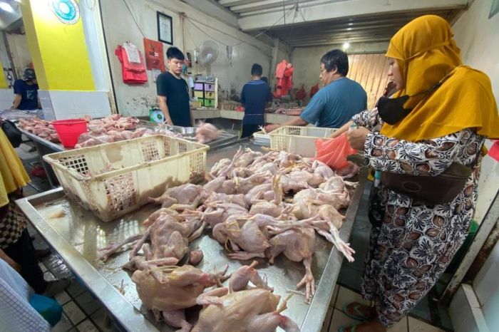 Harga Ayam Tembus Rp 45.000, Bapanas: Jangan Beli di Satu Pedagang Harga Ayam Tembus Rp 45.000, Bapanas: Jangan Beli di Satu Pedagang