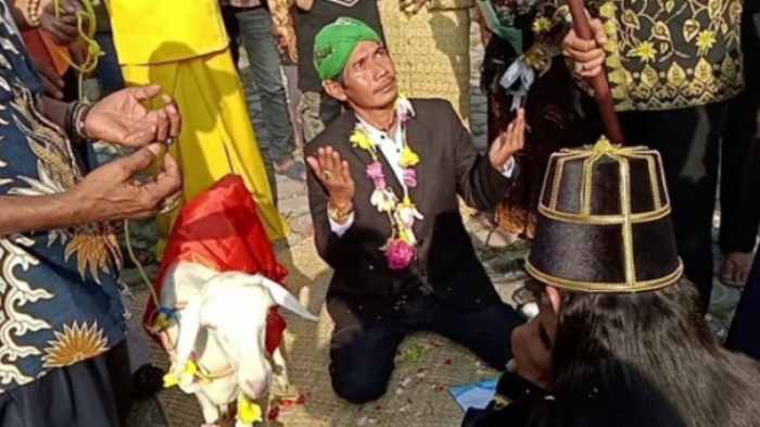 Daging kambing di Balong Panggang, Gresik