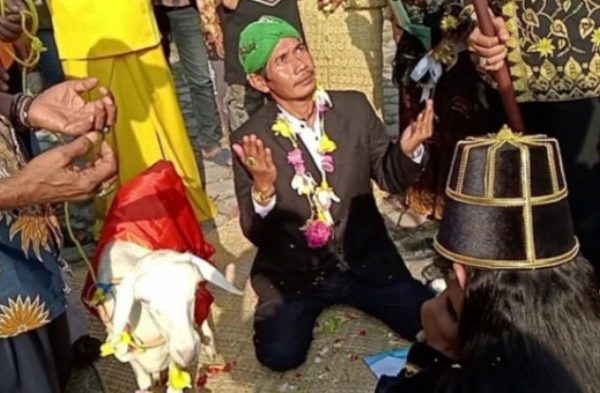 Daging kambing di Balong Panggang, Gresik