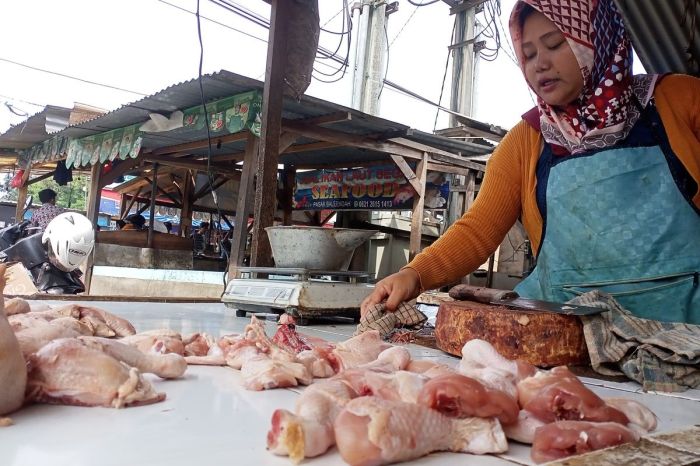 Harga Pangan Hari Ini: Telur dan Daging Ayam Turun, Cabai Melambung Harga Pangan Hari Ini: Telur dan Daging Ayam Turun, Cabai Melambung