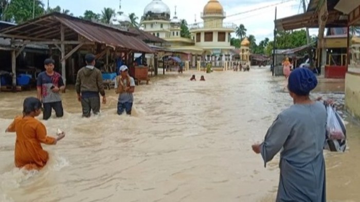 7 Titik Banjir di Ulakan Tapakis Padang Pariaman, Genangan Air Capai ... Ayam ternak di Ulakan Tapakis, Kabupaten Padang Pariaman