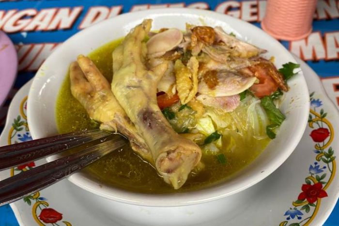 Mengembangkan Usaha Ternak Ayam Arab: Panduan Untuk Pemula (Part 2 ... Ayam arab di Cilandak, Jakarta Selatan