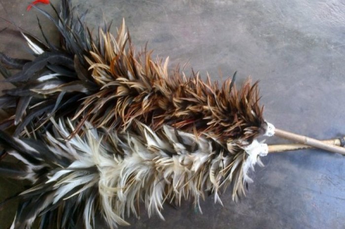 Bulu kelinci di Kaledupa Selatan, Wakatobi