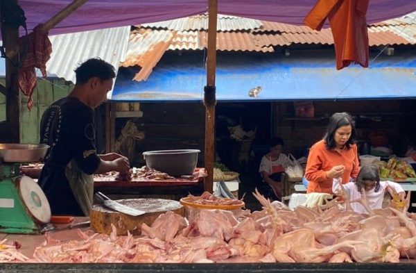 Harga ayam kampung potong di Punduh Pidada, Pesawaran