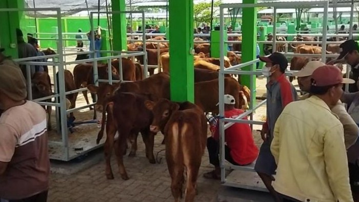 Daging kambing di Bubulan, Bojonegoro