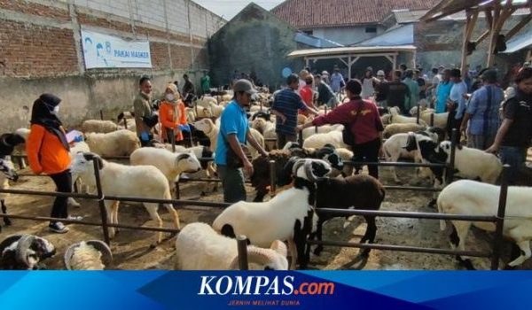 Daging kambing di Sukaresmi, Kab. Pandeglang