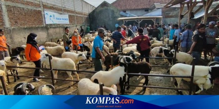 Daging kambing di Plakat Tinggi, Musi Banyuasin