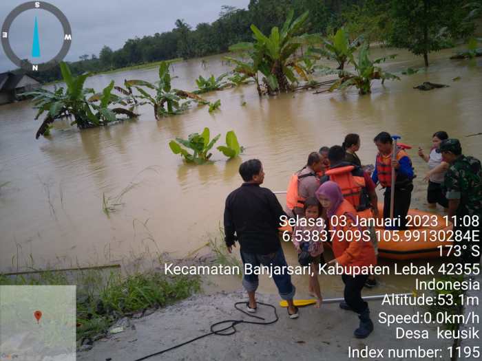 Daun penggemuk ayam di Banjarsari, Kab. Lebak