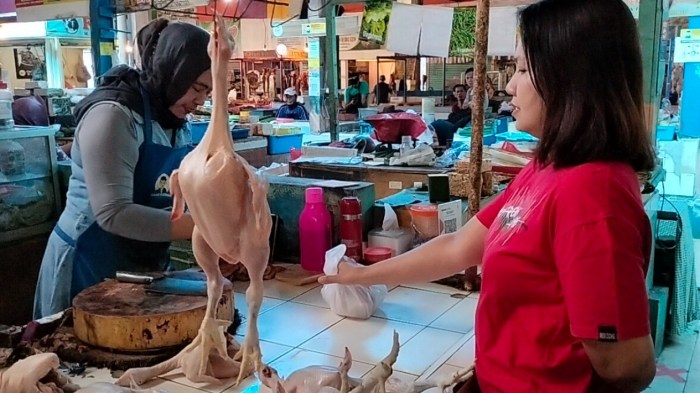 Sejak Lebaran, Harga Ayam Potong di Pekanbaru Masih Tinggi ... Harga ayam kampung potong di Parongpong, Bandung Barat