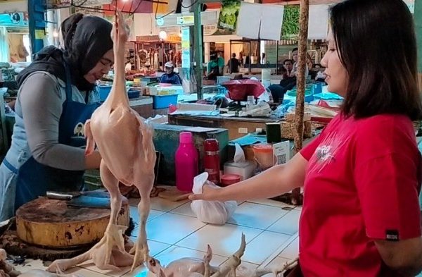 Harga ayam kampung potong di Pesisir Selatan, Pesisir Barat