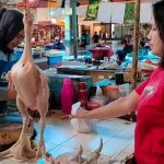 Harga ayam kampung potong di Sindangkerta, Bandung Barat