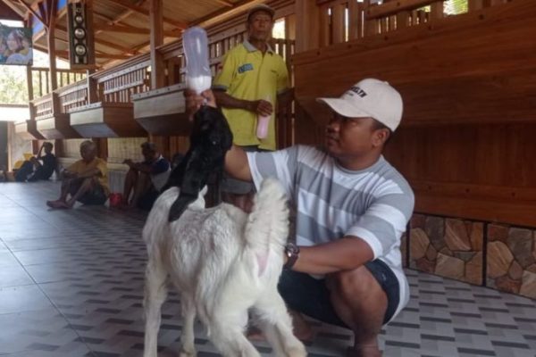 Daging kambing di Kerek, Tuban