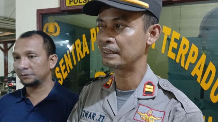 ayam petelur usia 16 minggu - live kandang - YouTube Ayam petelur jantan di Pauh Duo, Kabupaten Solok Selatan