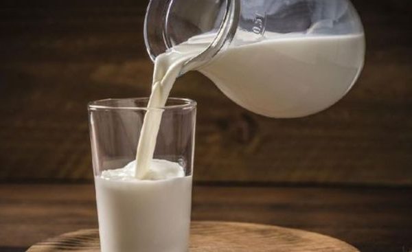 Susu kambing di Tamanan, Bondowoso