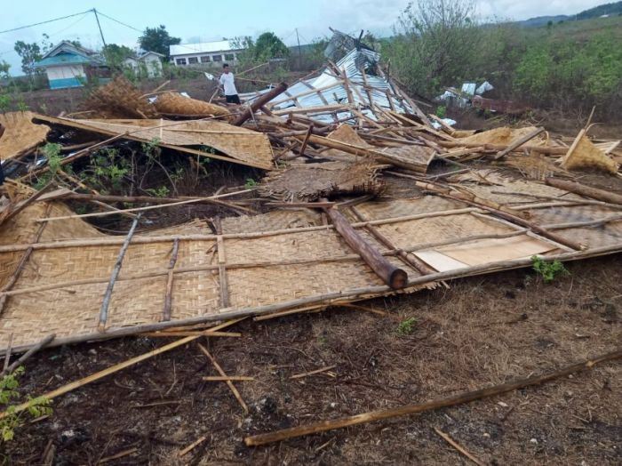 Antam bantu bibit ayam petelur untuk peternak Tambea - ANTARA News ... Antam bantu bibit ayam petelur untuk peternak Tambea - ANTARA News ...