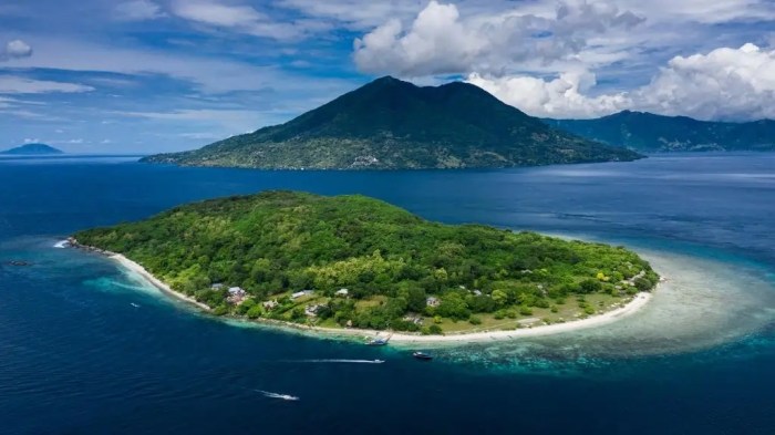 Daun penggemuk ayam di Alor Barat Laut, Alor