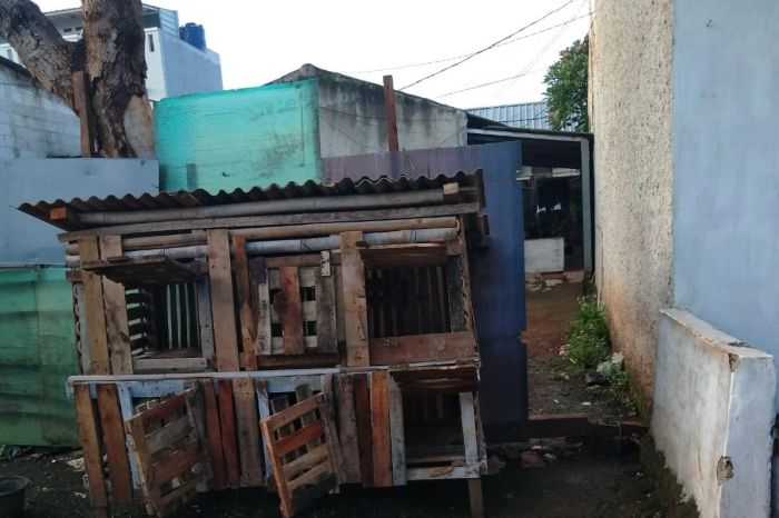 Busyet! Ketua RT Sengaja Tutup Akses Jalan Rumah Warga Pakai Pagar ...