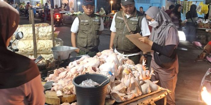 PASAR KAMBING KALIREJO PUSAT TRANSAKSI KAMBING DI LAMPUNG - YouTube Daging kambing di Kalipuro, Banyuwangi