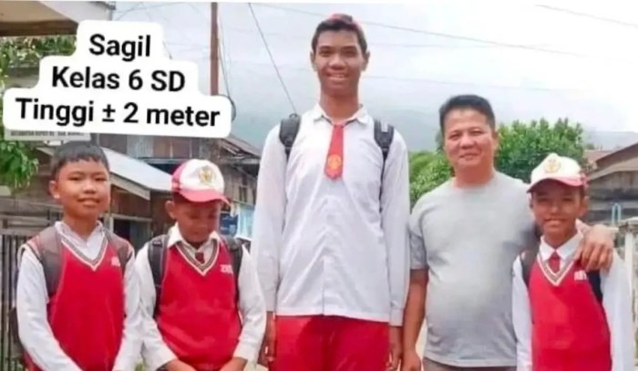 Gokil, Anak SD Tertinggi di Indonesia dengan Ukuran Baju XXXXL di Jambi ... Ayam layer di Depati Tujuh, Kabupaten Kerinci