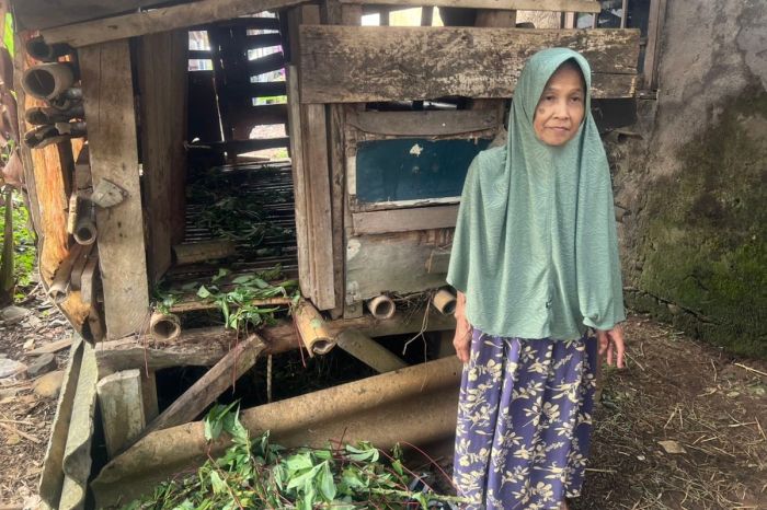Susu kambing di Tanah Sareal, Kota Bogor