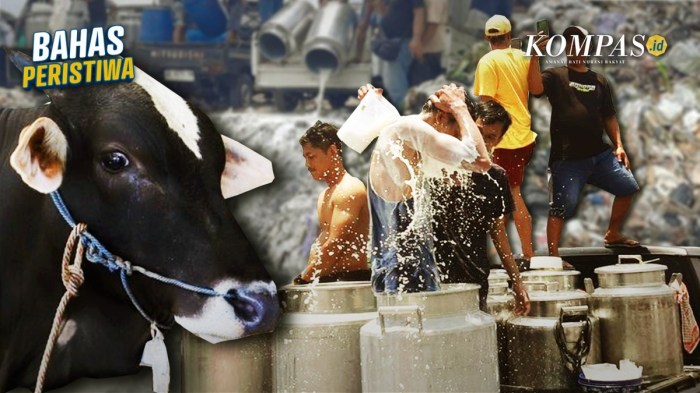 Susu kambing di Banyudono, Boyolali