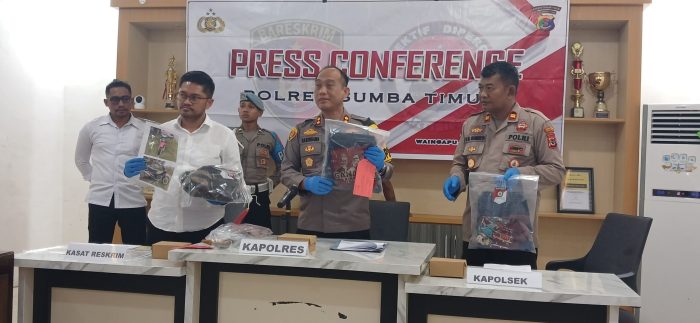 ternak ayam petelur yang sukses ternak ayam petelur yang sukses