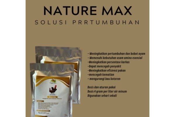 Daun penggemuk ayam di Cimanuk, Kab. Pandeglang