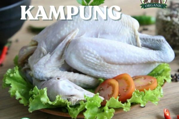 Jual Ayam Kampung Asli 700-800gr | Shopee Indonesia