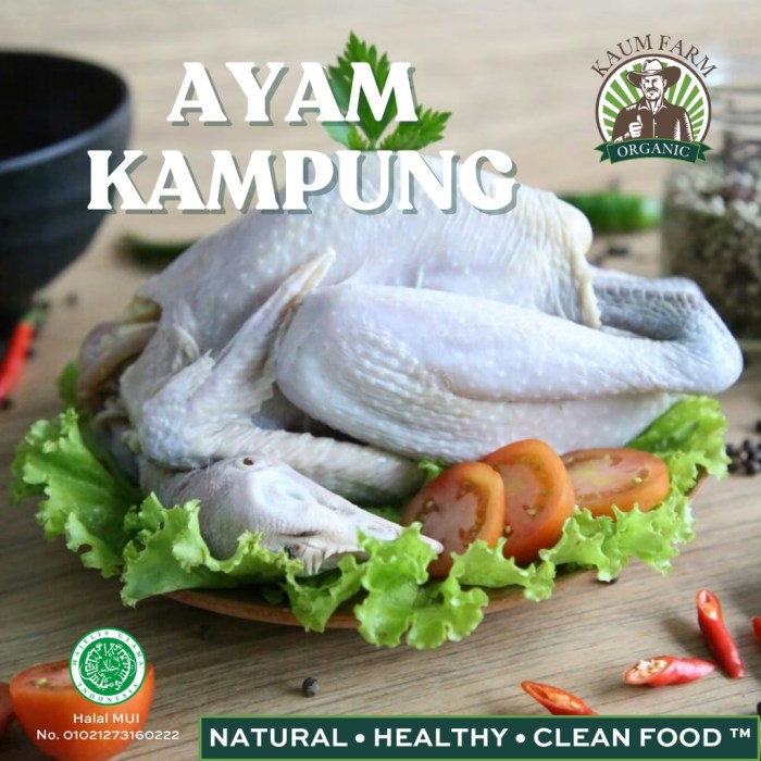 Jual Ayam Kampung Asli 700-800gr | Shopee Indonesia Jual Ayam Kampung Asli 700-800gr | Shopee Indonesia