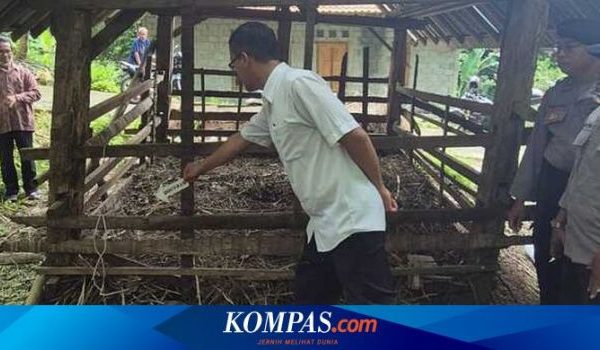 Daging kambing di Temon, Kulon Progo
