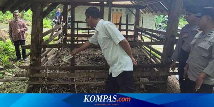 Sempat Absen, Kontes Ternak Kambing Etawa Digelar di Kulon Progo ... Daging kambing di Temon, Kulon Progo