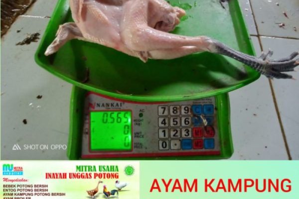 Harga ayam kampung potong di Kesambi, Kota Cirebon