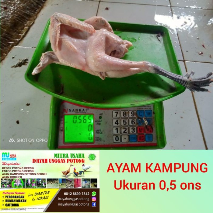 Harga ayam kampung potong di Sragi, Lampung Selatan