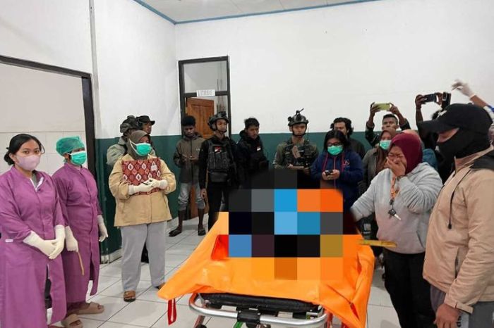 Daun penggemuk ayam di Wanwi, Kab. Puncak Jaya