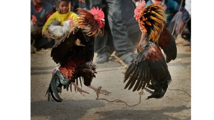 9 Restoran Sate Ceker Paling Lezat di Subang - MenuKuliner.net 9 Restoran Sate Ceker Paling Lezat di Subang - MenuKuliner.net