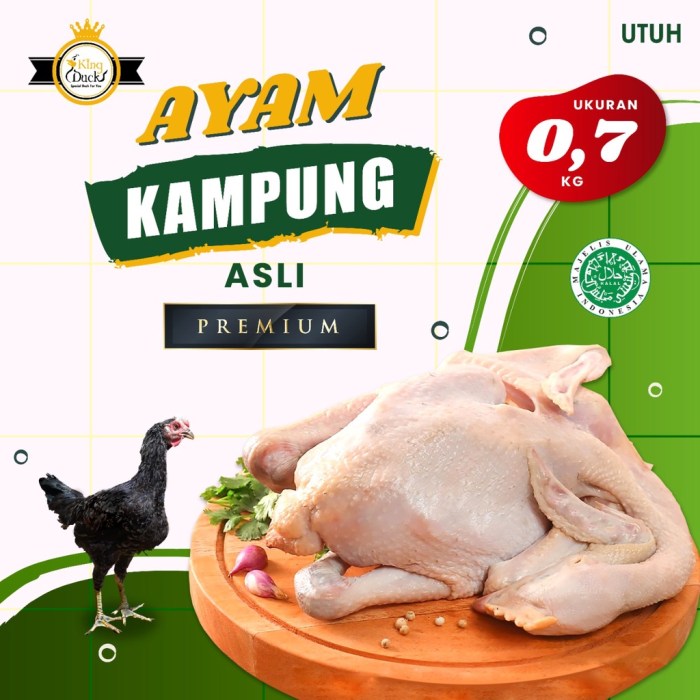 Harga ayam kampung potong di Abung Pekurun, Lampung Utara