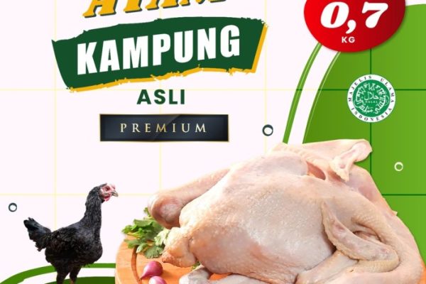 Harga ayam kampung potong di Cisaat, Sukabumi