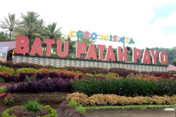 Budidaya ayam di Lubuk Sikarah, Kota Solok