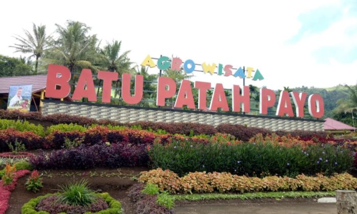 LOMBA AYAM KUKUKAK BALENGGEK MEMERIAHKAN HUT KABUPATEN SOLOK KE-109 Budidaya ayam di Lubuk Sikarah, Kota Solok