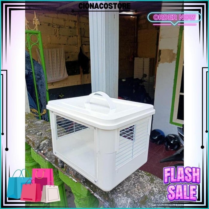 Jual Box Kandang Travel Reptil, Hamster, Gecko,Dll Cod | Shopee Indonesia Jual Box Kandang Travel Reptil, Hamster, Gecko,Dll Cod | Shopee Indonesia