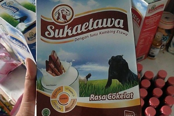 Susu kambing di Sukodono, Lumajang