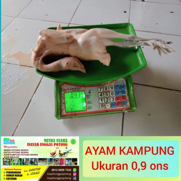 Harga ayam kampung potong di Seputih Raman, Lampung Tengah