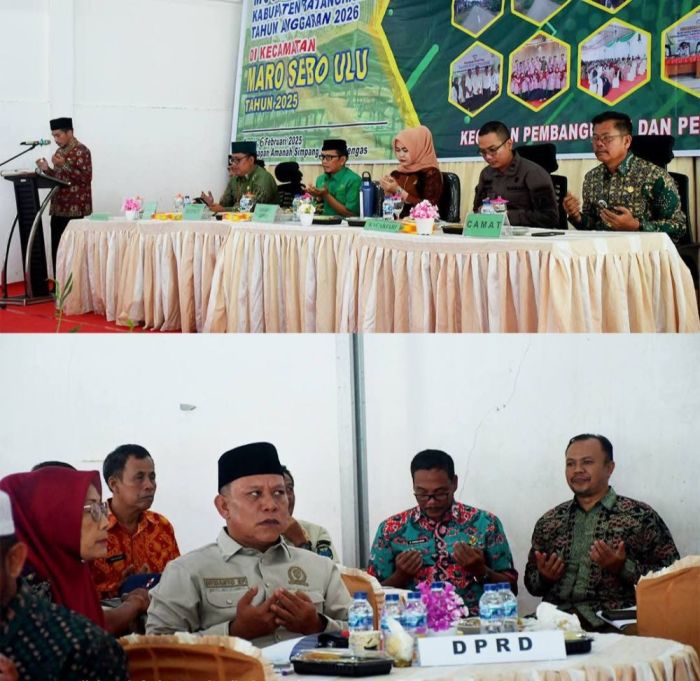 Beda Tekstur Daging hingga Warna, Ini Perbedaan Ayam Kampung dan Ayam ... Ayam layer di Maro Sebo Ulu, Kabupaten Batanghari