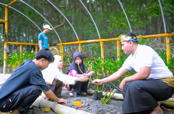 Daun penggemuk ayam di Jerowaru, Lombok Timur