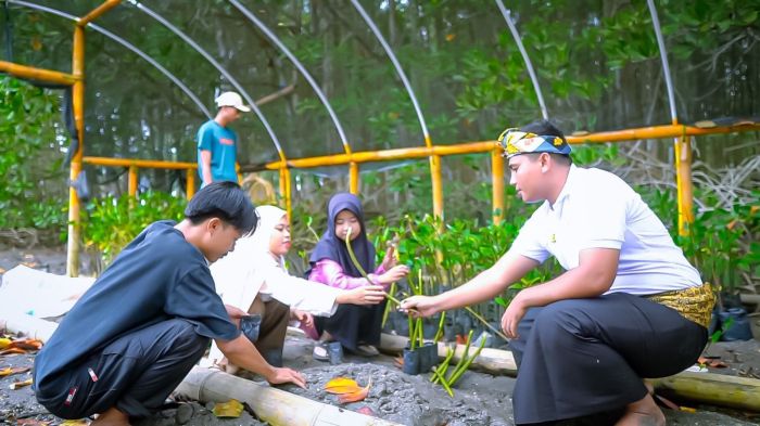 Daun penggemuk ayam di Jerowaru, Lombok Timur