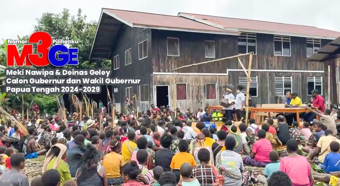 Ternak ayam petelur di Fawi, Kab. Puncak Jaya