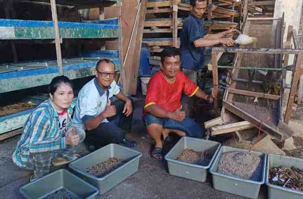 Budidaya ayam di Padang Utara, Kota Padang